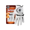 FootJoy Junior Golf Glove -Cheap Custom Fit Golf Clubs Store FJ 65911E 01 1 29996.1663948259